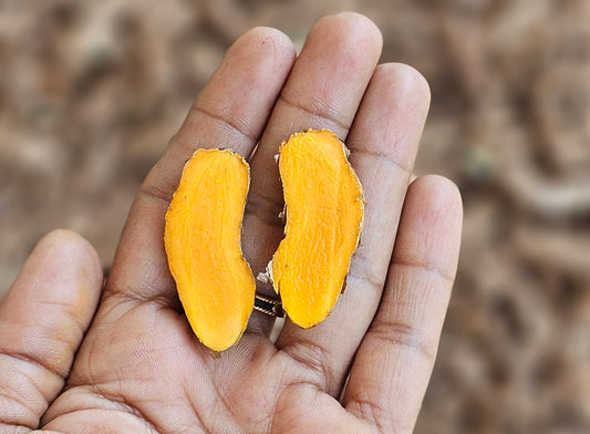 పచ్చి పసుపు కొమ్ములు - 500 G