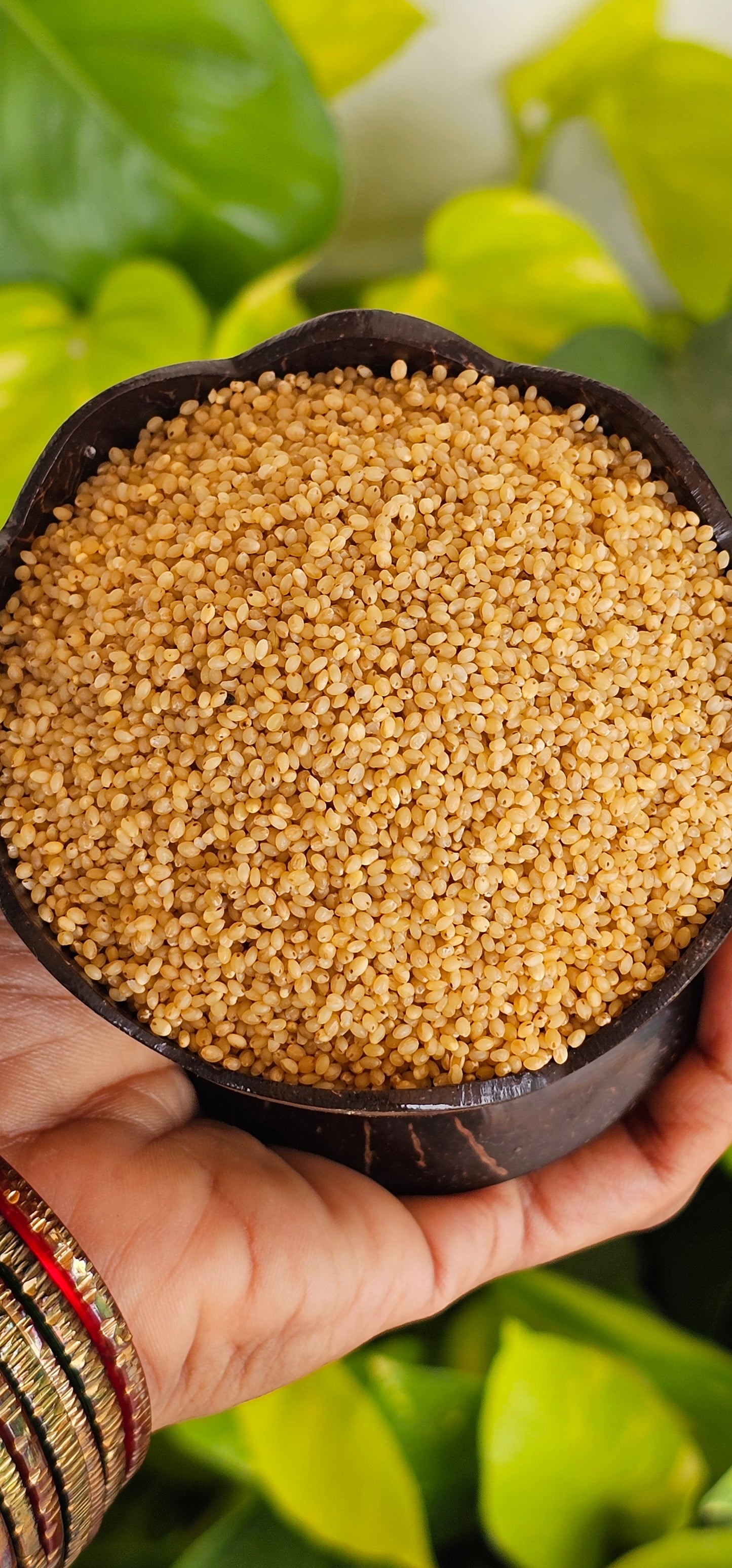 FOXTAIL MILLET(కొర్రలు)- 500 G
